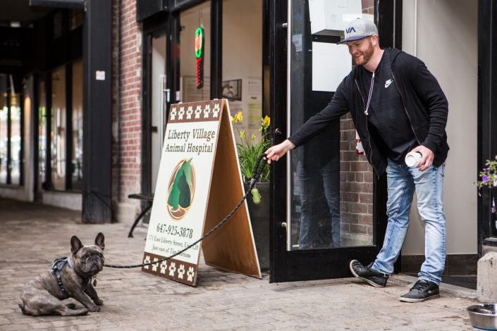 reluctant vet visitor for professional branding photography 0O7C8652