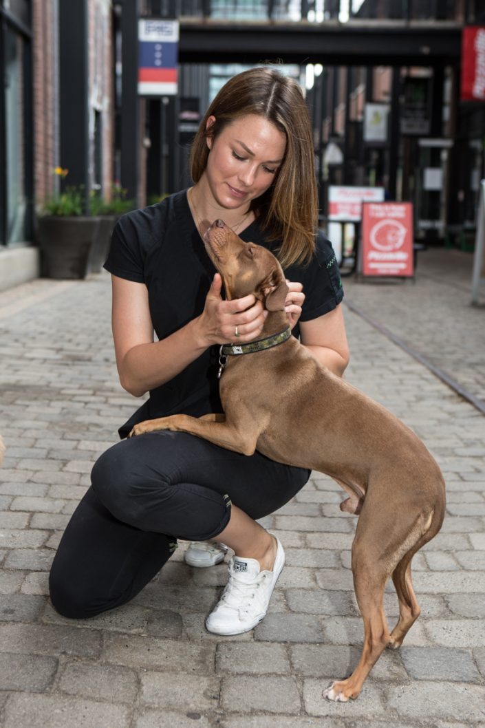 vet assistant with brown dog for professional branding Toronto 0O7C9035
